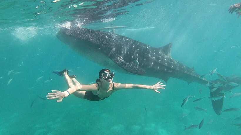 Oslob: Whale Shark Tour with Sumilon & Moalboal Snorkeling - Lunch at the beachfront camp
