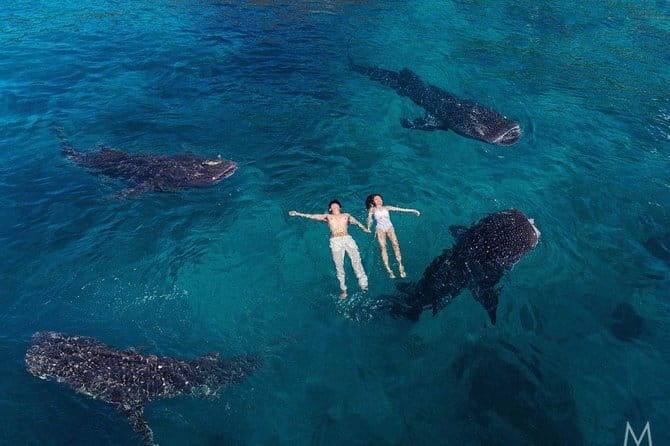 Oslob Whale Shark & Tumalog Waterfalls & Sumilon Sandbar - Who will enjoy this tour most