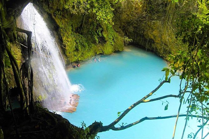 Oslob Whale Shark watching + Canyoneering Adventure Tour - Why this Cebu combination works