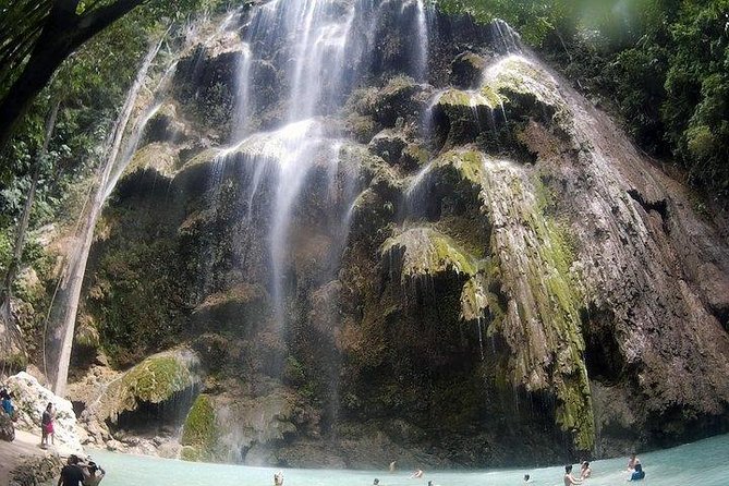 Oslob Whale Shark watching + Canyoneering Adventure Tour - Oslob whale shark snorkeling