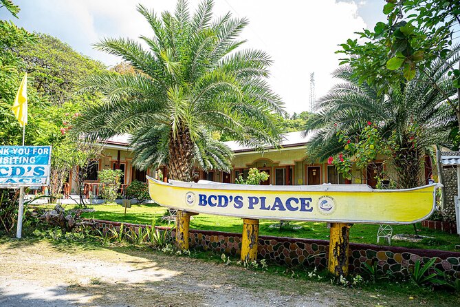 Oslob Whale Sharks and Moalboal Sardine Run, Sea Turtles Tour - What the Oslob whale shark swim is really like