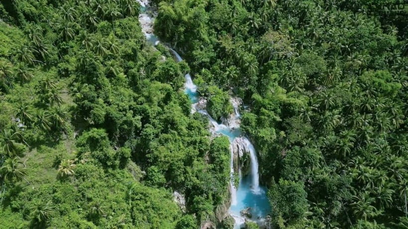Oslob: Whale Sharks, Inambakan Falls & Moalboal Sardines - Leaving Cebu before sunrise