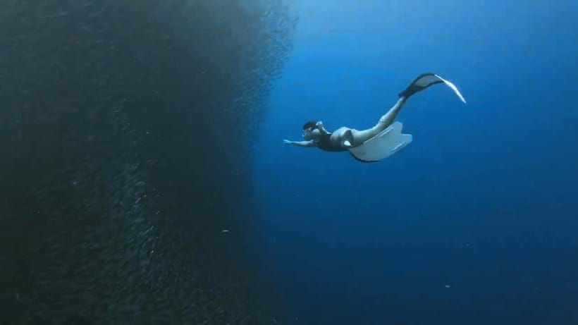 Oslob: Whale Sharks, Inambakan Falls & Moalboal Sardines - What the long drive means for your day