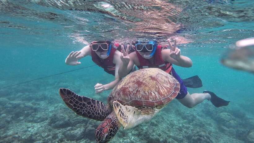 Oslob: Whale Sharks, Inambakan Falls & Moalboal Sardines - My verdict: a big Cebu day with real tradeoffs