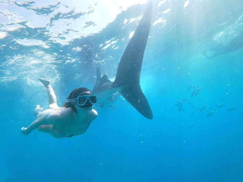 Oslob: Whale Sharks, Tumalog Falls & Sumilon Trio Adventure - Tumalog Falls and its limestone curtain