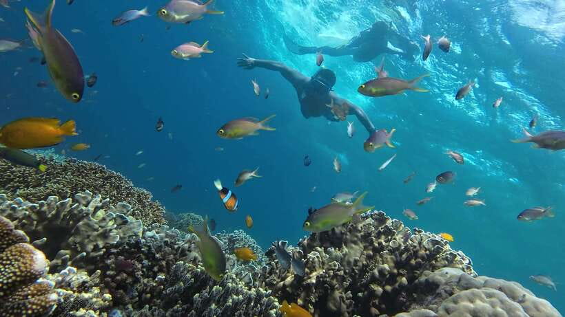 Oslob: Whaleshark Swimming, Inambakan Falls & Moalboal Tour - What to pack for the water stops