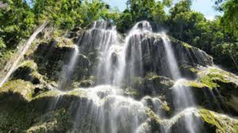 Oslob: Whaleshark Swimming, Tumalog Falls & Sumilon Island - Why this Oslob day works
