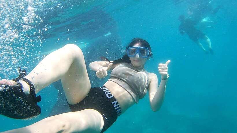 Oslob: Whaleshark Swimming, Tumalog Falls & Sumilon Island - Meeting the whale sharks in Oslob