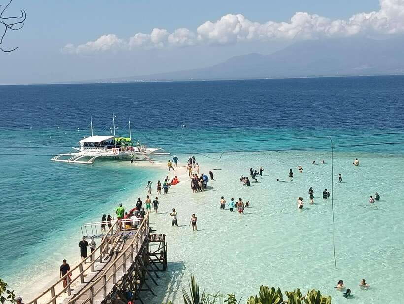 Oslob: Whaleshark Watching, Sumilon Island & Monkey Viewing - Key points to know before booking