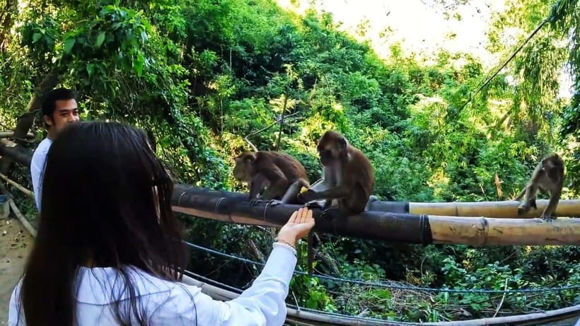 Oslob: Whaleshark Watching, Sumilon Island & Monkey Viewing - Oslob Cuartel and the monkey viewing point