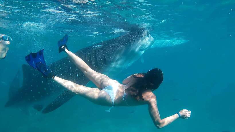Oslob: Whaleshark Watching, Tumalog Falls & Sumilon Island - Who should book this day?