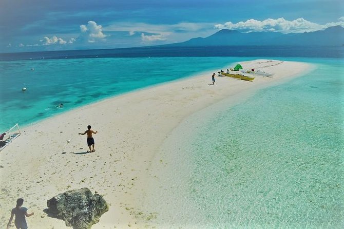 Oslob Whaleshark with Sumilon Island - Why this southern Cebu day works