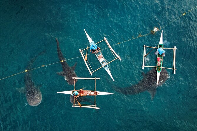 Oslob Whaleshark with Sumilon Island - A glimpse of Boljoon’s old church