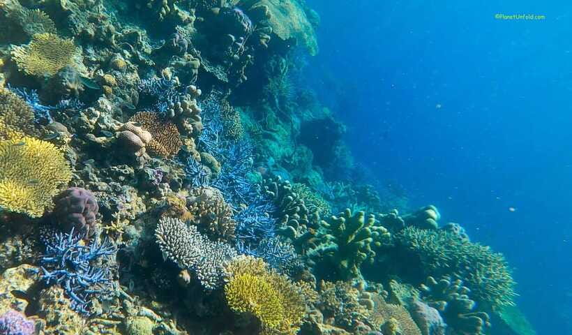 Palawan: Coron Island Super Ultimate Private Tour - The guides shape the day