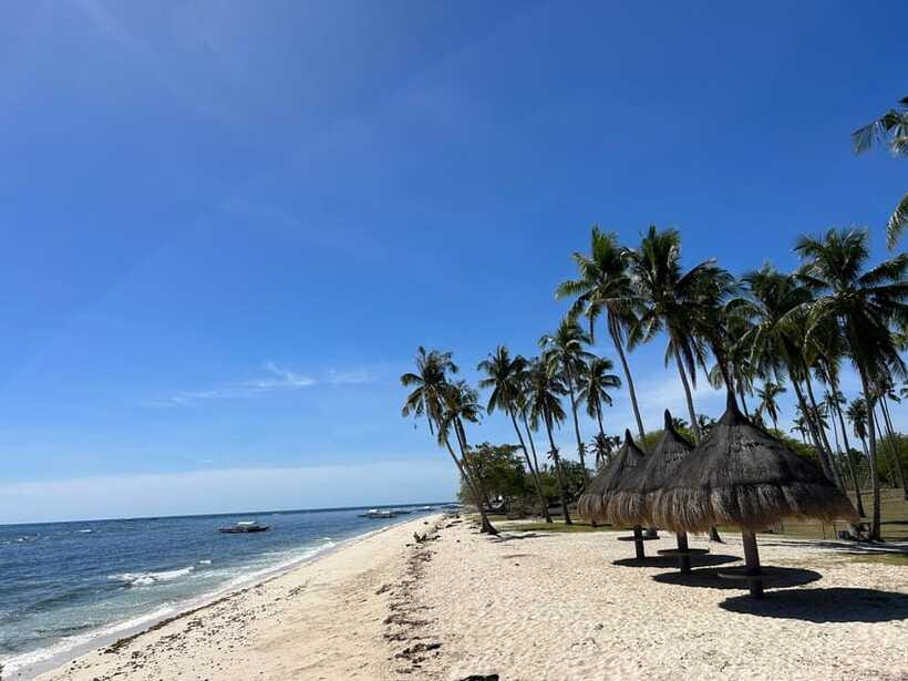 Pamilacan island: Dolphins, snorkel, lunch and walking tour - Should you book the Pamilacan Island tour?