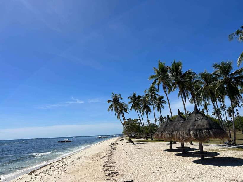 Pamilacan island: Dolphins, snorkel, lunch and walking tour - The early ride from Panglao to Pamilacan