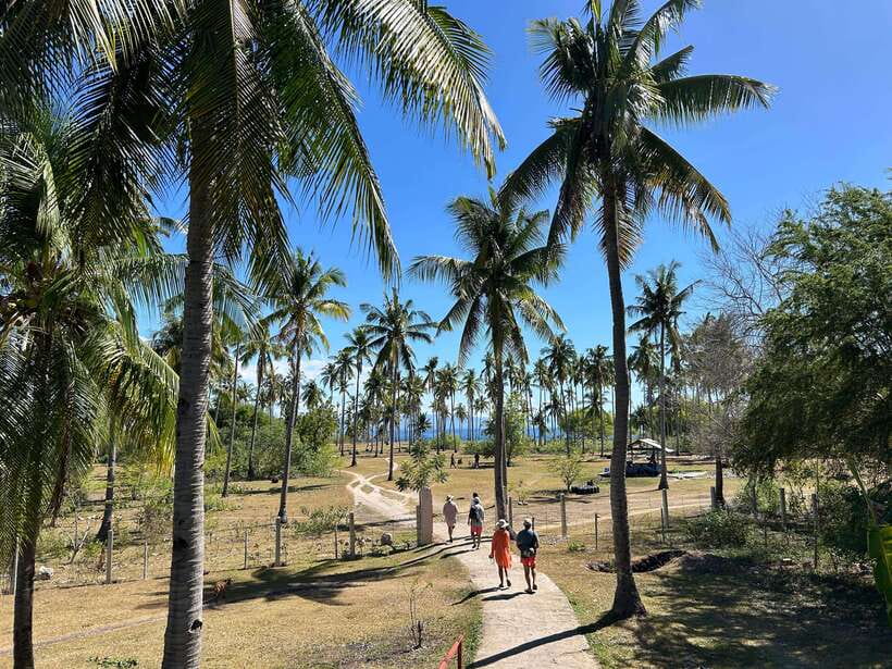 Pamilacan island: Dolphins, snorkel, lunch and walking tour - Who will enjoy this day most