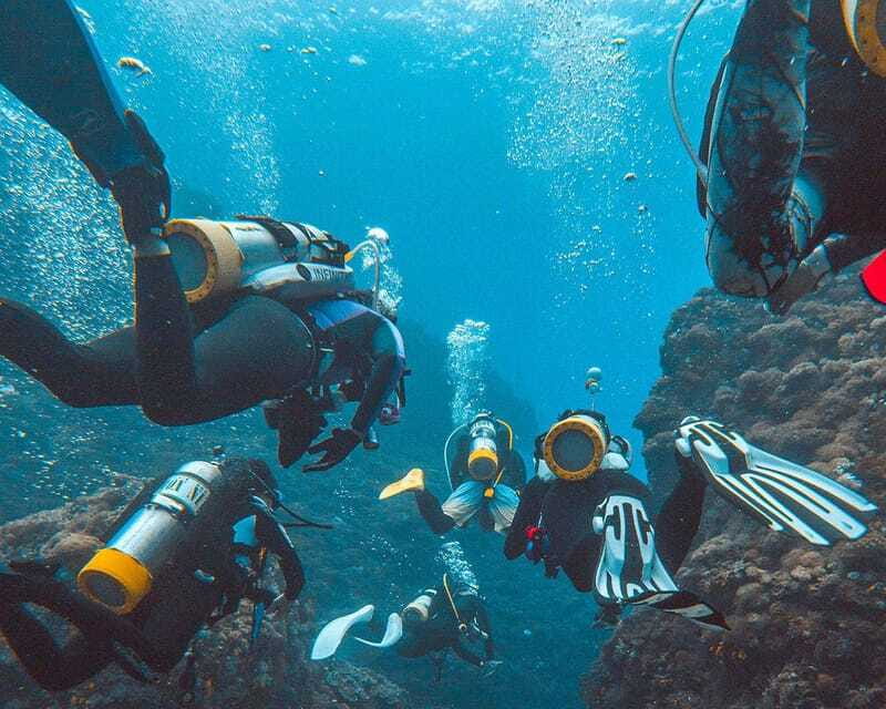 Panglao Bohol: Try Scuba Diving at Napaling and Sardines - What happens during the 30 to 45 minute reef session