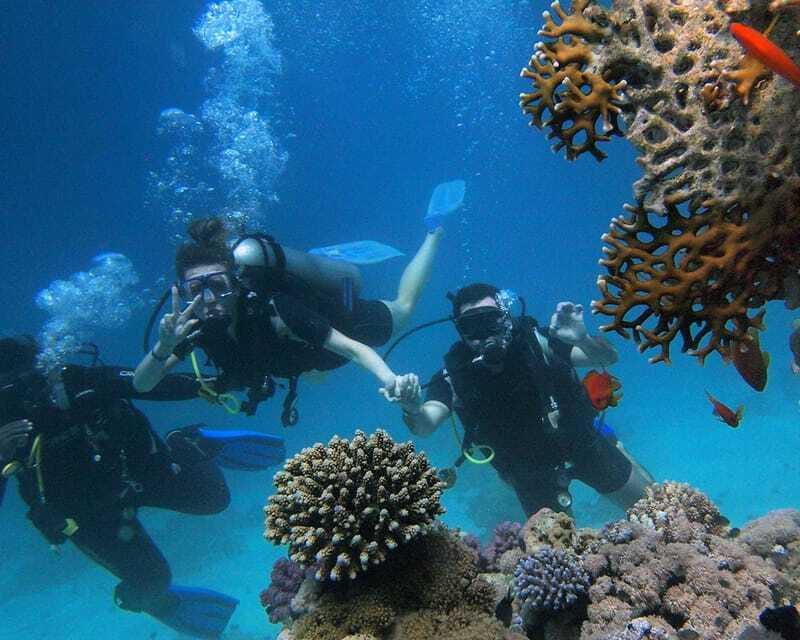 Panglao Bohol: Try Scuba Diving at Napaling and Sardines - The photo stop and free GoPro files