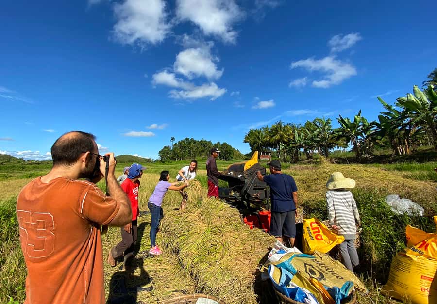 Panglao: Dao, Forests, and Tarsier Sanctuary Tour with Lunch - Why this private Bohol route works