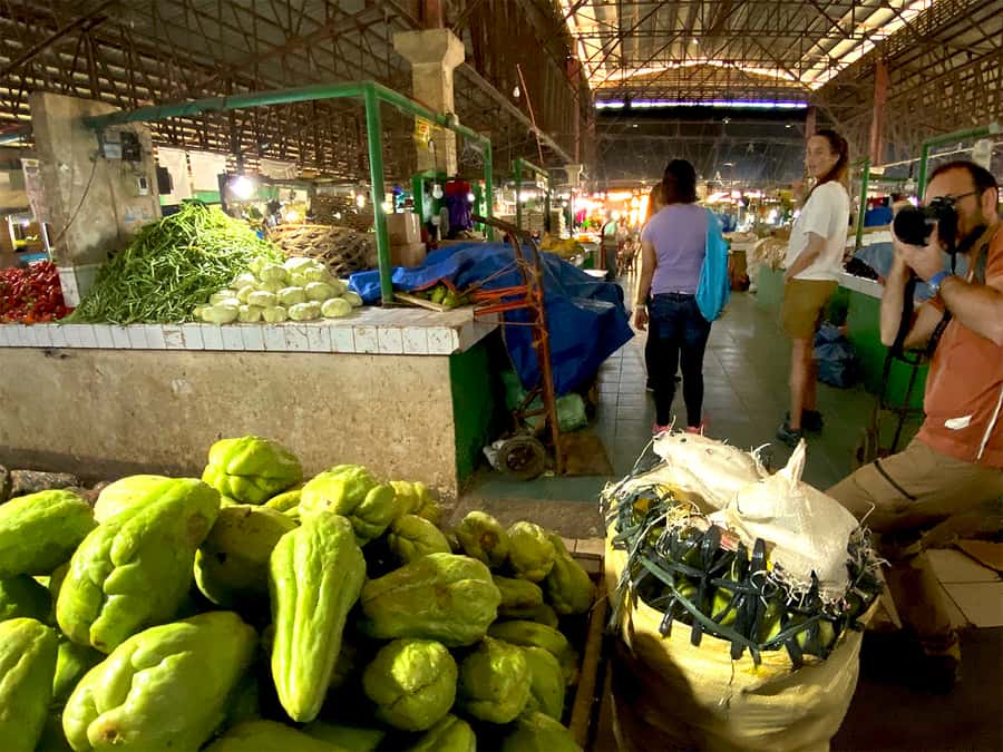 Panglao: Dao, Forests, and Tarsier Sanctuary Tour with Lunch - Driving through the Man-Made Forest