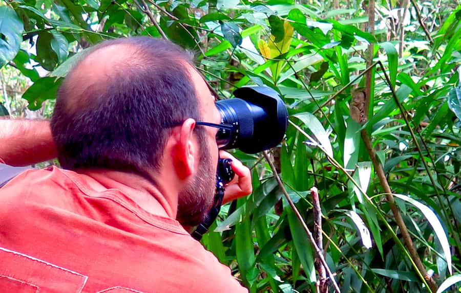 Panglao: Dao, Forests, and Tarsier Sanctuary Tour with Lunch - A home-cooked Filipino lunch beside rice fields