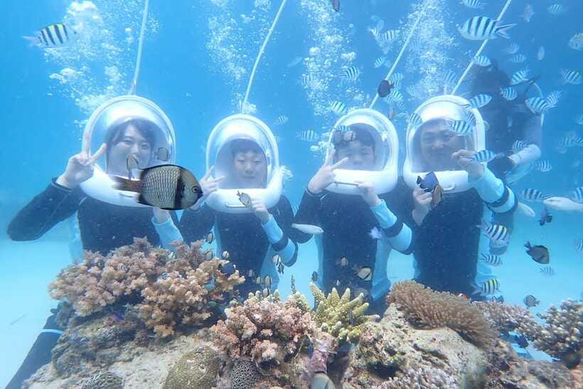 Panglao: Helmet Diving Experience with Photos and Videos - Why the helmet makes this a good first underwater activity