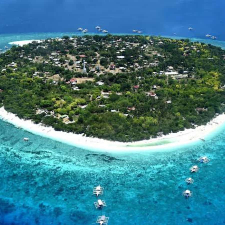 Panglao: Island Hopping w/Balicasag (Shared) - FAQ