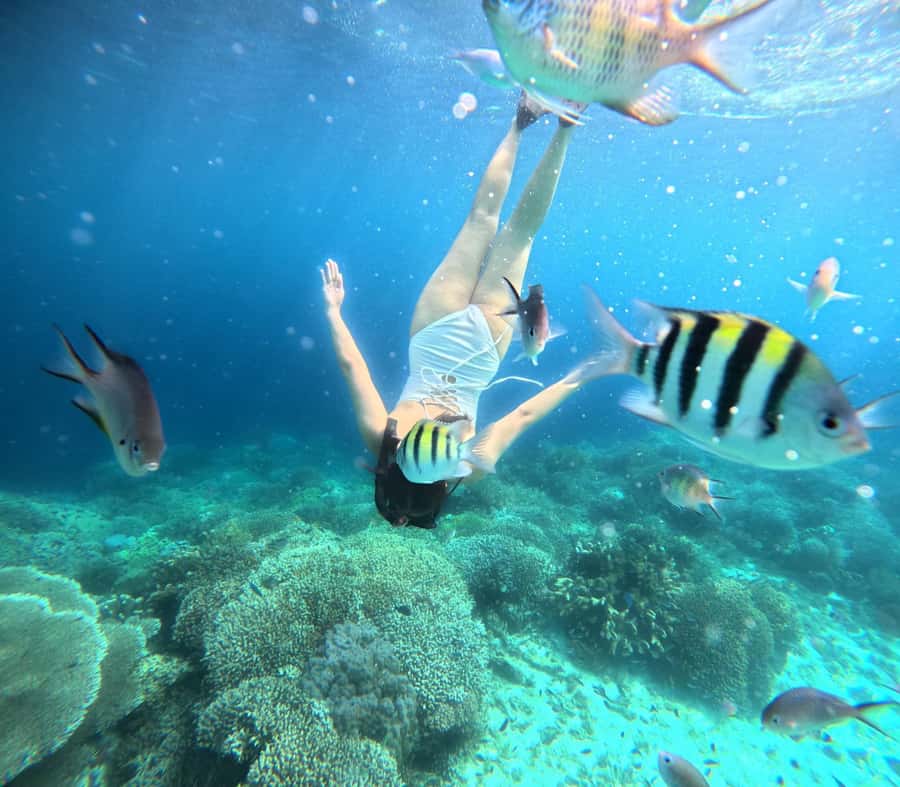 Panglao: Island Hopping w/Balicasag (Shared) - What Snorkeling at Balicasag Is Really Like