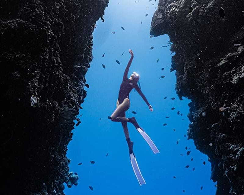 Panglao: Napaling Reef and Sardines Freediving Experience - The sardines, coral, and fish life