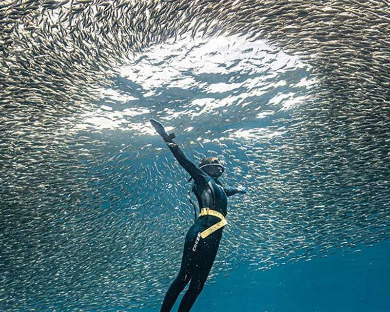Panglao: Napaling Reef and Sardines Freediving Experience - Practical preparation for the water