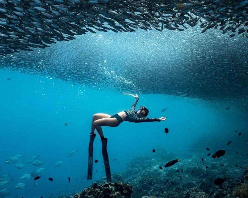 Panglao: Napaling Reef and Sardines Freediving Experience - Meeting at Freedive Academy Panglao