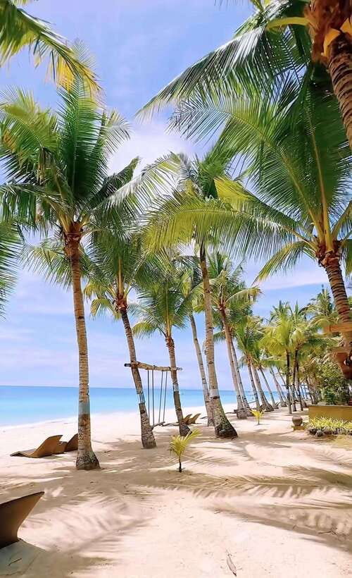 Panglao: Private Cave Pool, Beach & Scenic Day Tour - Should you book the Panglao private day tour?