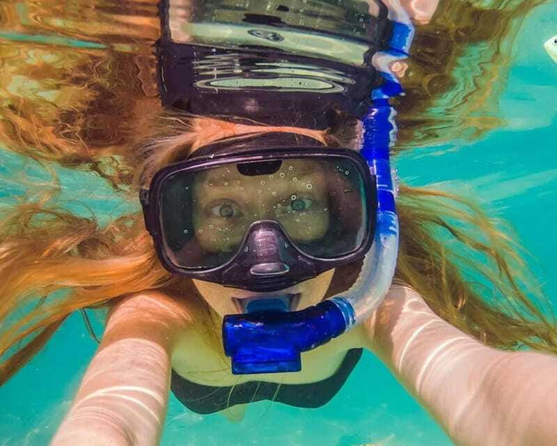 Panglao: Snorkeling at NapalingReef with Sardines Experience - Who should book this reef experience?