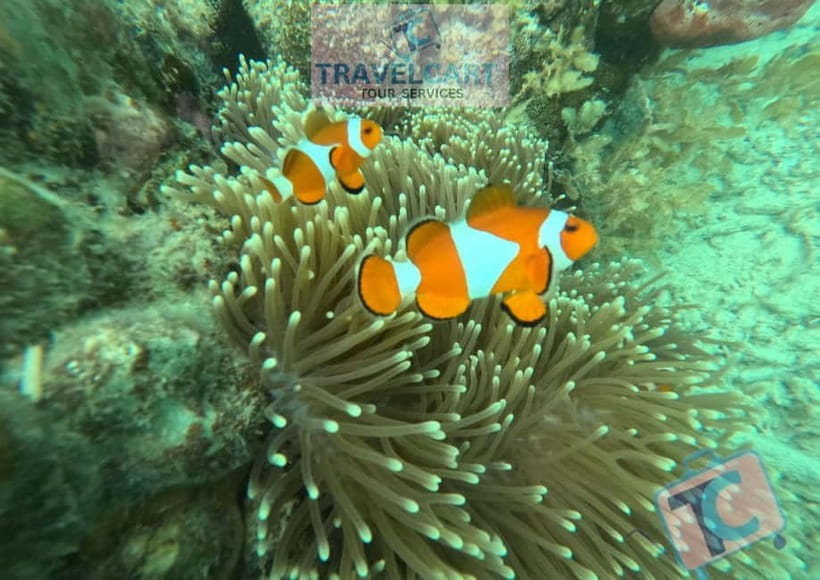 PORT BARTON: Full-day Shared Island Hopping Tour A - Port Barton’s quiet island-hopping day