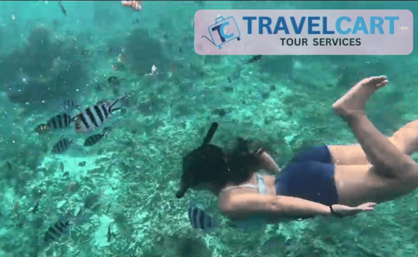 PORT BARTON: Full-day Shared Island Hopping Tour A - Lunch, water, and the practical comforts