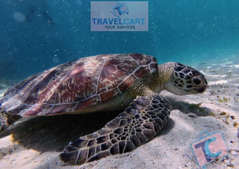 PORT BARTON: Full-day Shared Island Hopping Tour A - Maxima and Exotic Island for beach time