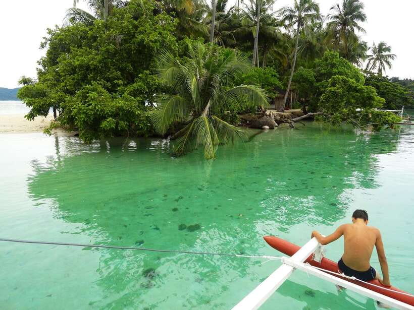 Port Barton: Island Hopping to Turtle Spot & Reef with Lunch - Turtle Spot: exciting, but keep your distance