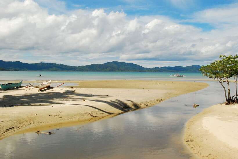 Port Barton: Island Hopping to Turtle Spot & Reef with Lunch - A beach BBQ that earns its place in the itinerary