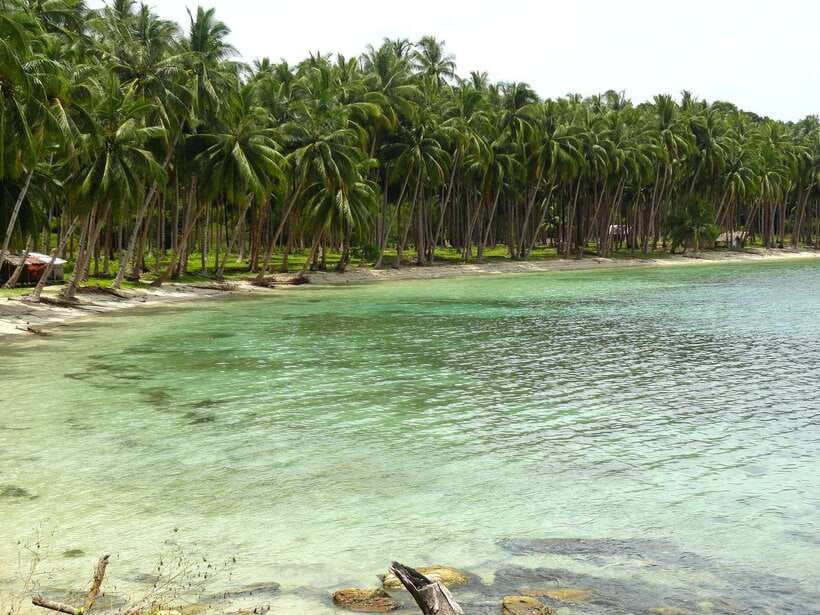 Port Barton: Island Hopping to Turtle Spot & Reef with Lunch - Is $36 a good value?