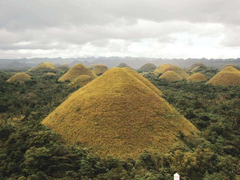 PREMIUM Bohol Eco-Tours: Chocolate hills - Driving through the Bilar Man-Made Forest