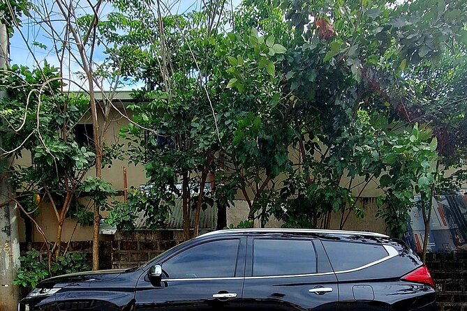 Private Airport Transfer Manila to Hotel in Manila or vice versa - Who should book this Manila transfer?