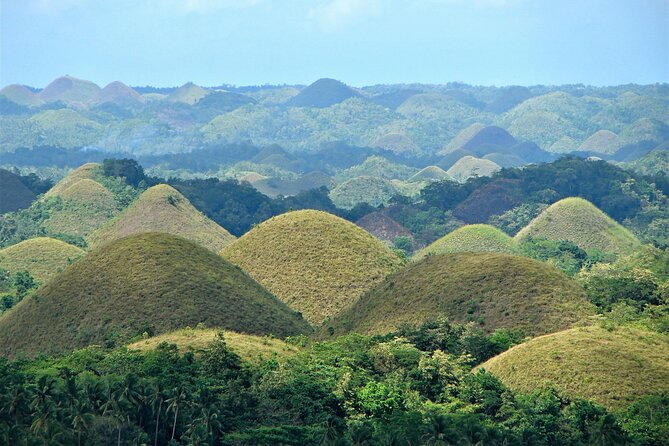 Private Bohol and Chocolate Hills with Loboc River Cruise - Why this private Bohol route works