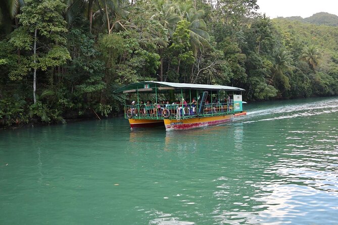 Private Bohol and Chocolate Hills with Loboc River Cruise - Who should book this Bohol day tour?