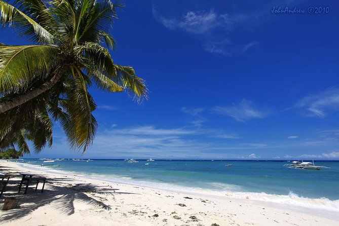 Private Bohol and Chocolate Hills with Loboc River Cruise - The Chocolate Hills and Bilar’s mahogany road