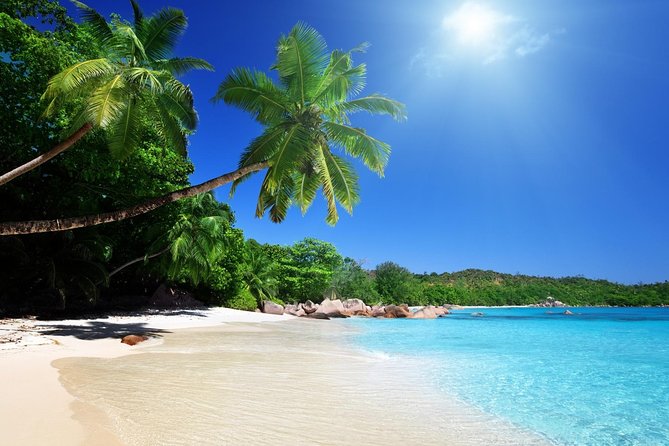 Private Day Trip Cebu to Bohol w/ Chocolate Hills & Loboc Cruise - Starting at Cebu’s Pier 1