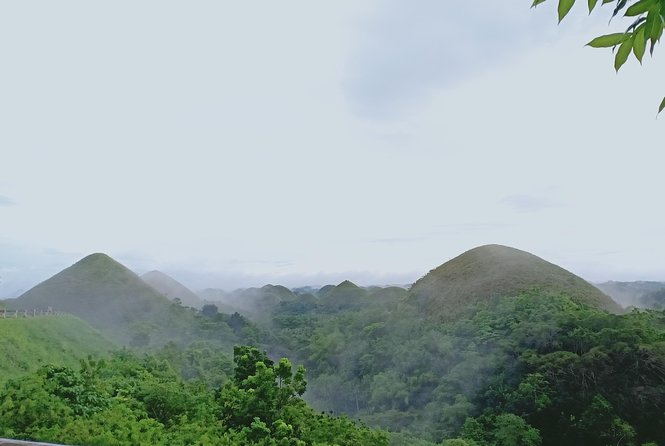 Private Day Trip Cebu to Bohol w/ Chocolate Hills & Loboc Cruise - Meeting Bohol’s small tarsiers