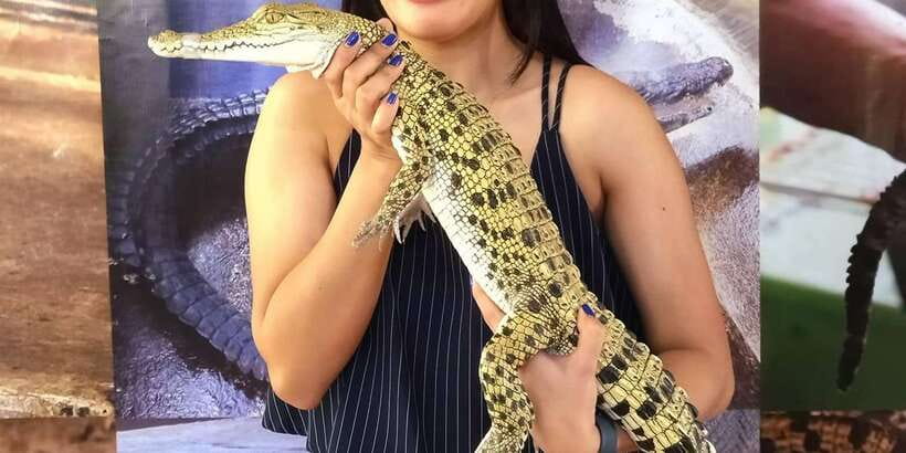 Puerto Princesa City Tour with Snacks - Who should book this four-hour tour?