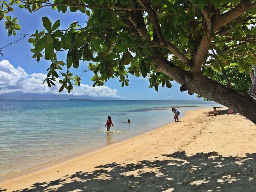 Puerto Princesa: Cowrie Island Guided Day Tour with Meal - A quick island escape from Puerto Princesa
