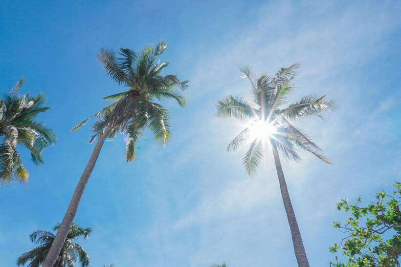 Puerto Princesa: Cowrie Island Guided Day Tour with Meal - What the $178 package includes, and what it does not